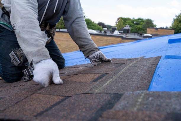 Best Storm Damage Roof Repair  in Blackwood, NJ